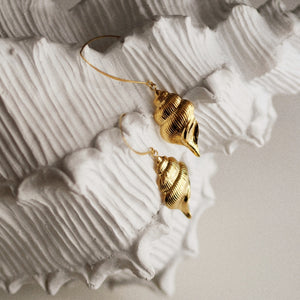 Andrea Limited Edition Shell Earrings