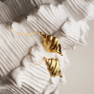 Andrea Limited Edition Shell Earrings