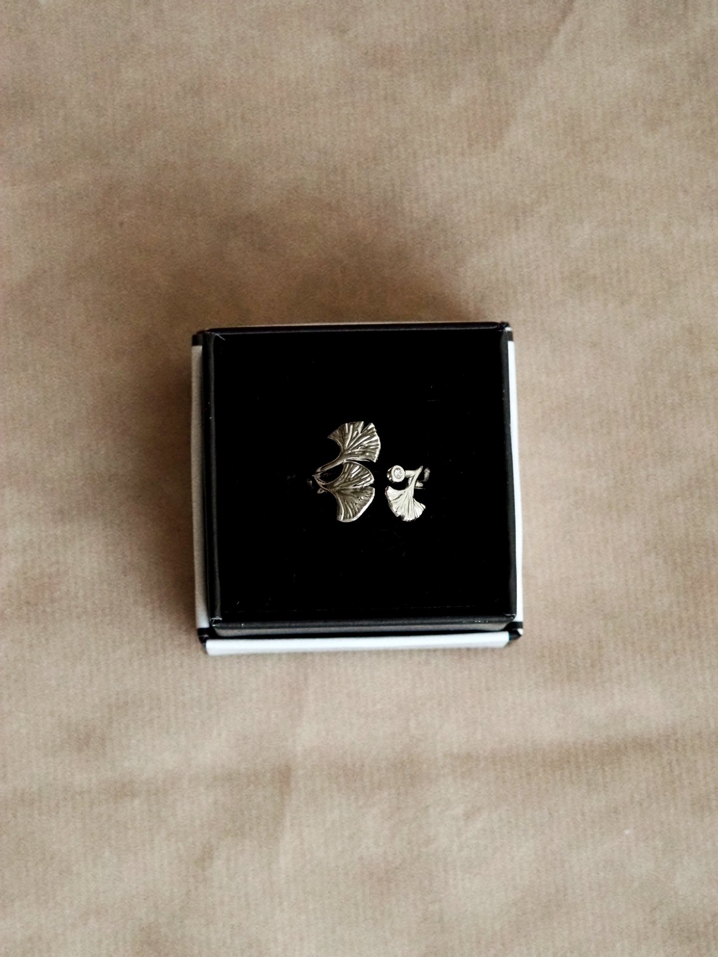 Nina Natural Ring in Silver Colour