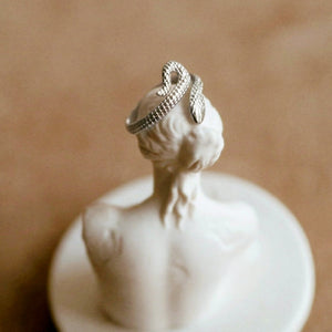 Snake Ring in Silver