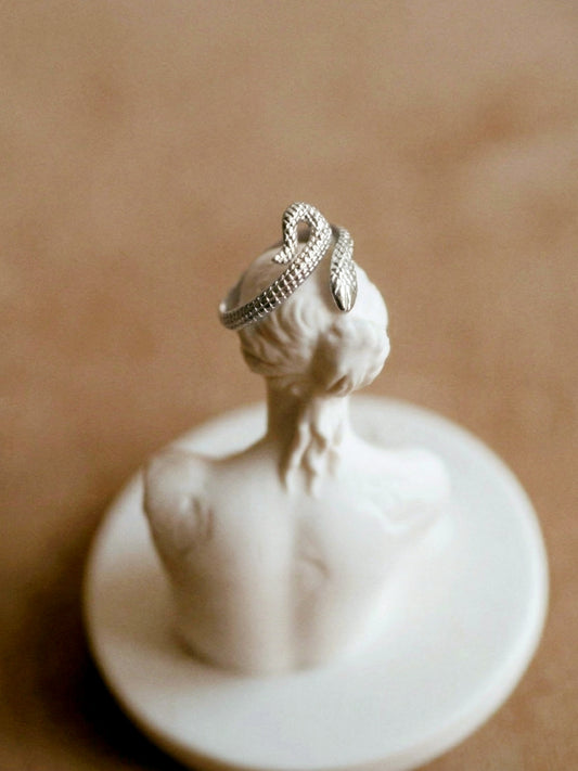 Snake Ring in Silver