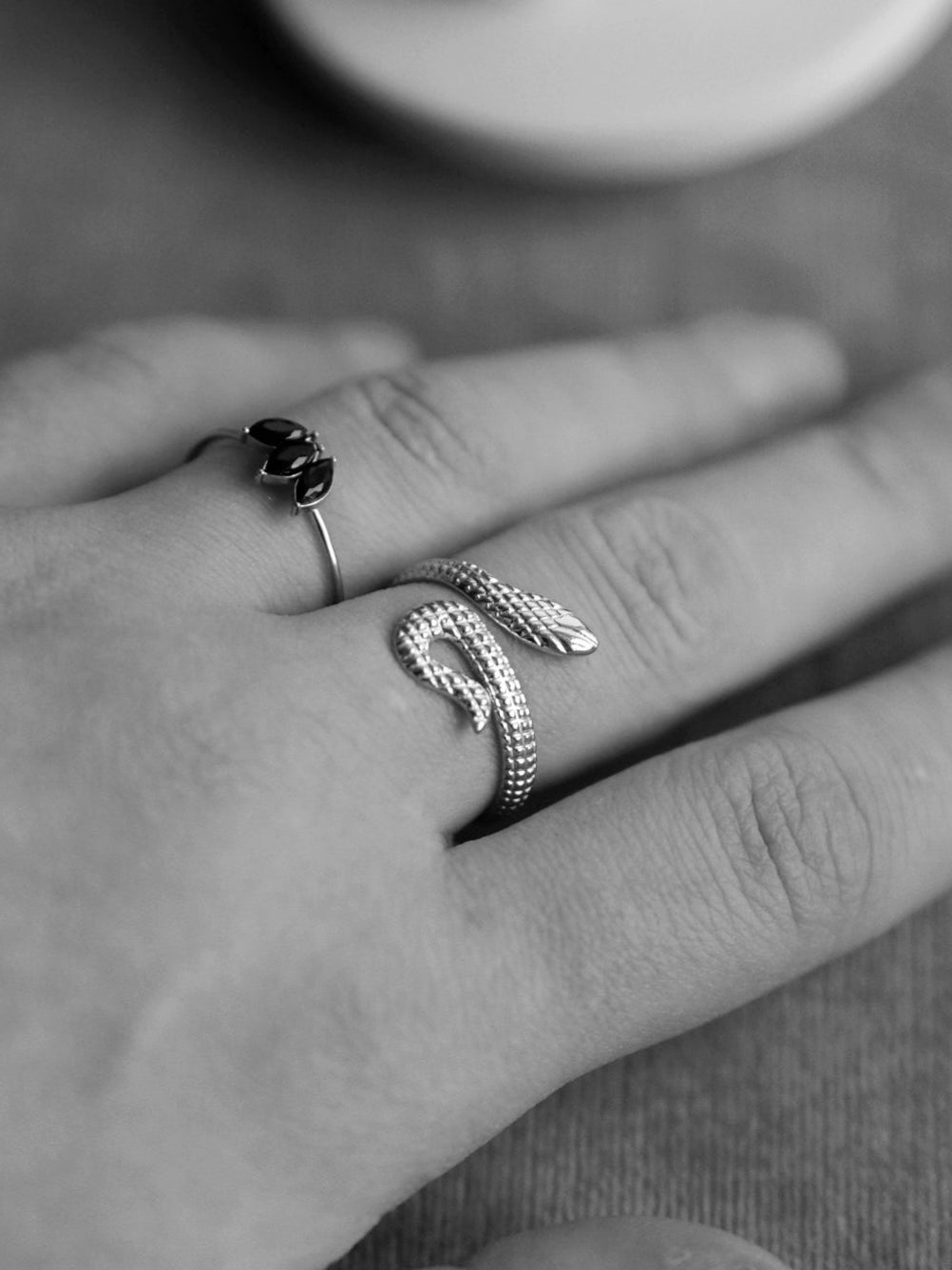 Snake Ring in Silver