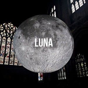 Luna Earrings In Silver 🎁