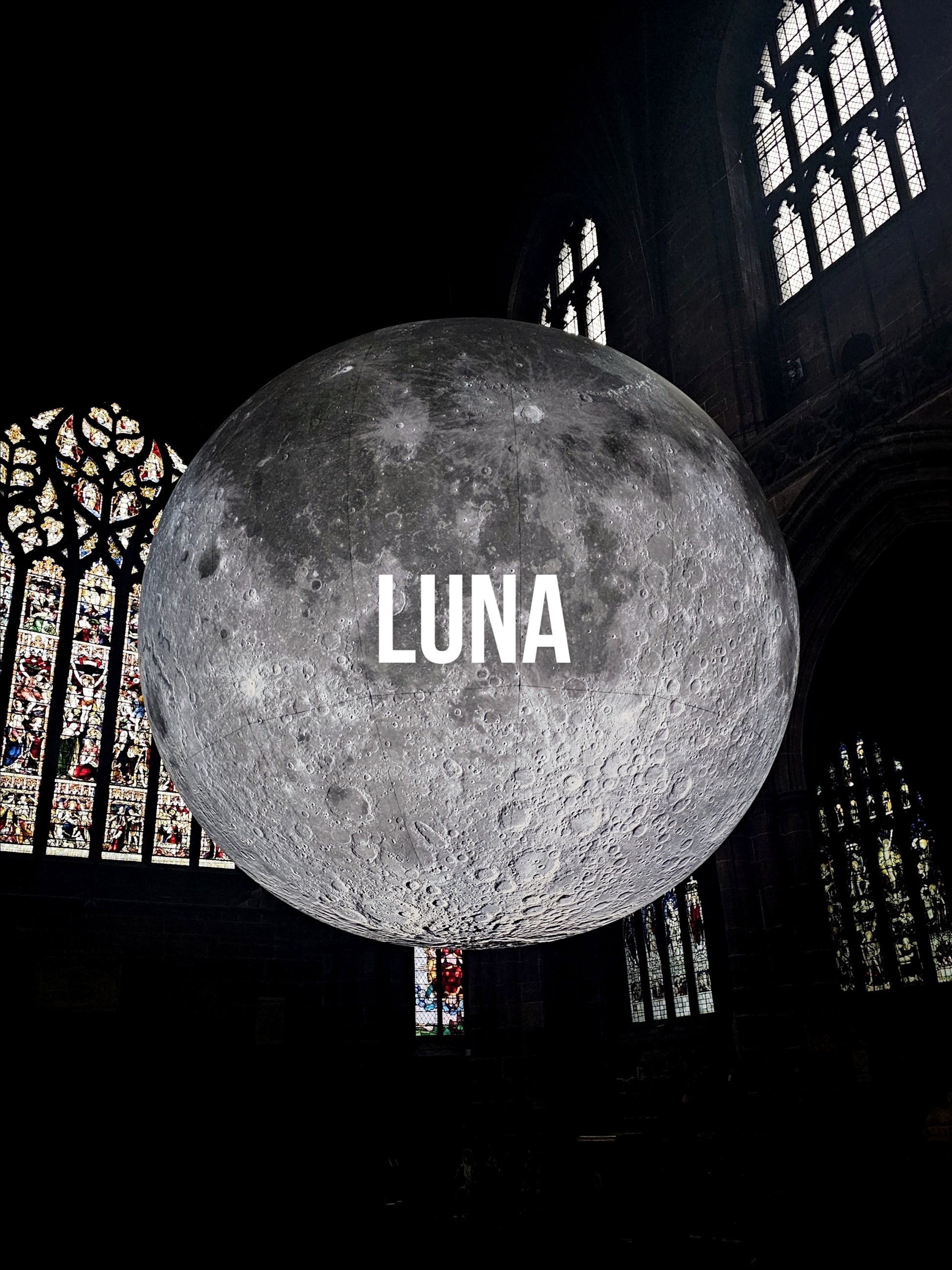 Luna Earrings In Silver 🎁