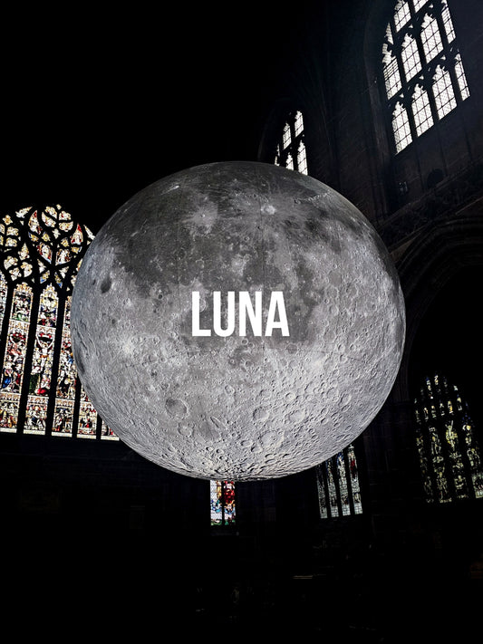 Luna Earrings In Silver 🎁