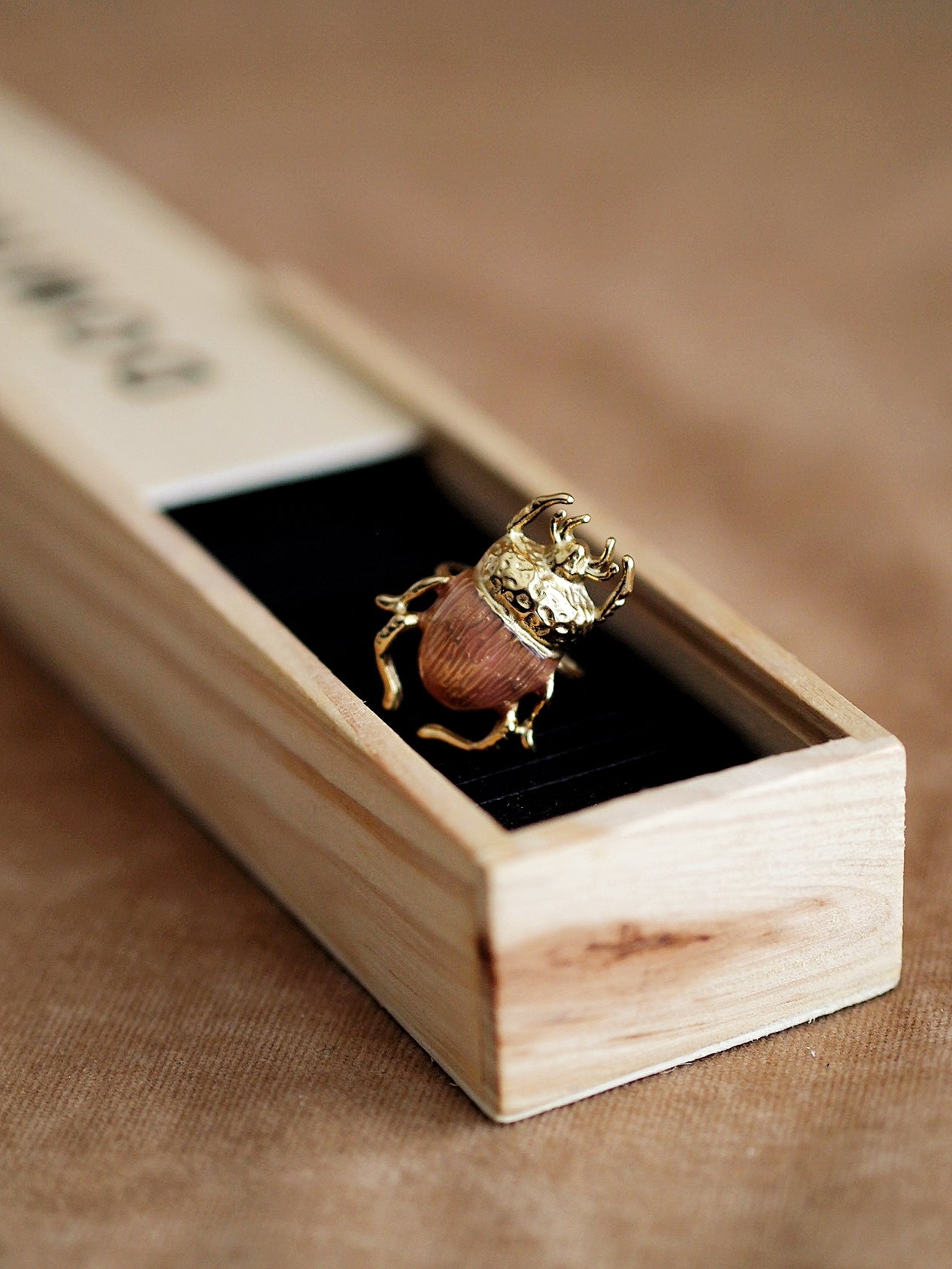Unique Beetle Ring