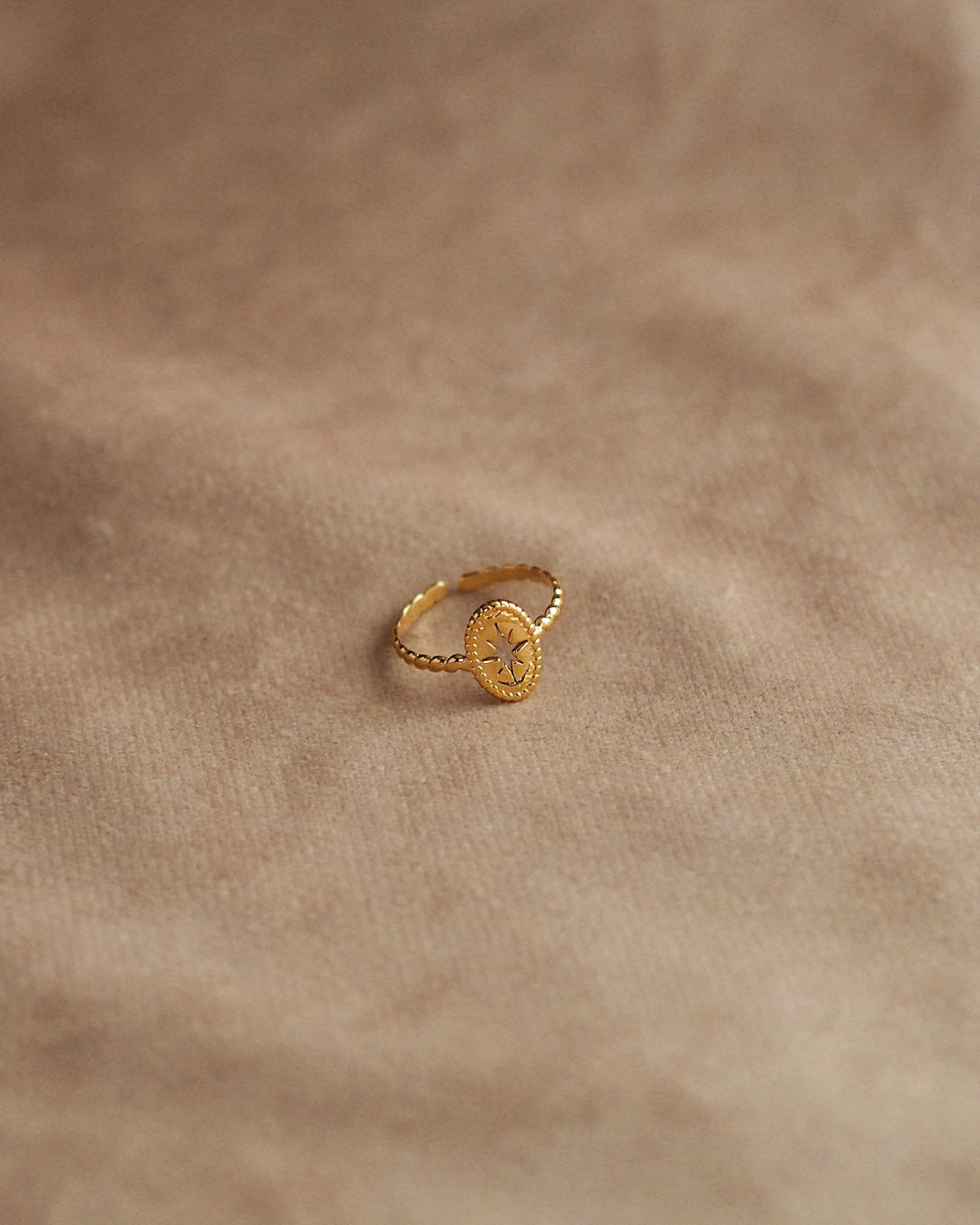 Pauline Star Ring in Gold