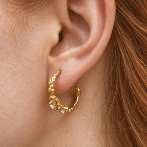 Felicity Hoops with Zirconia