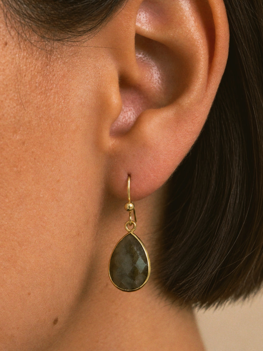 Labradorite Hook Earrings