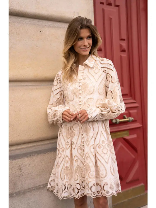 Embroidered Cotton Lace Dress