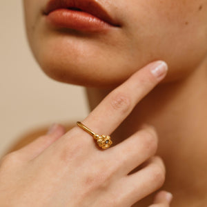 Arena Golden Ring