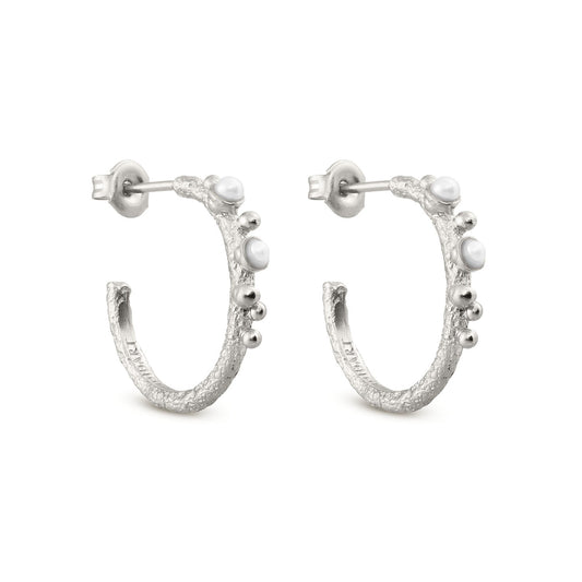 Silver Hoop Earrings Guspira