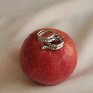 Elegant Snake Studs in Silver