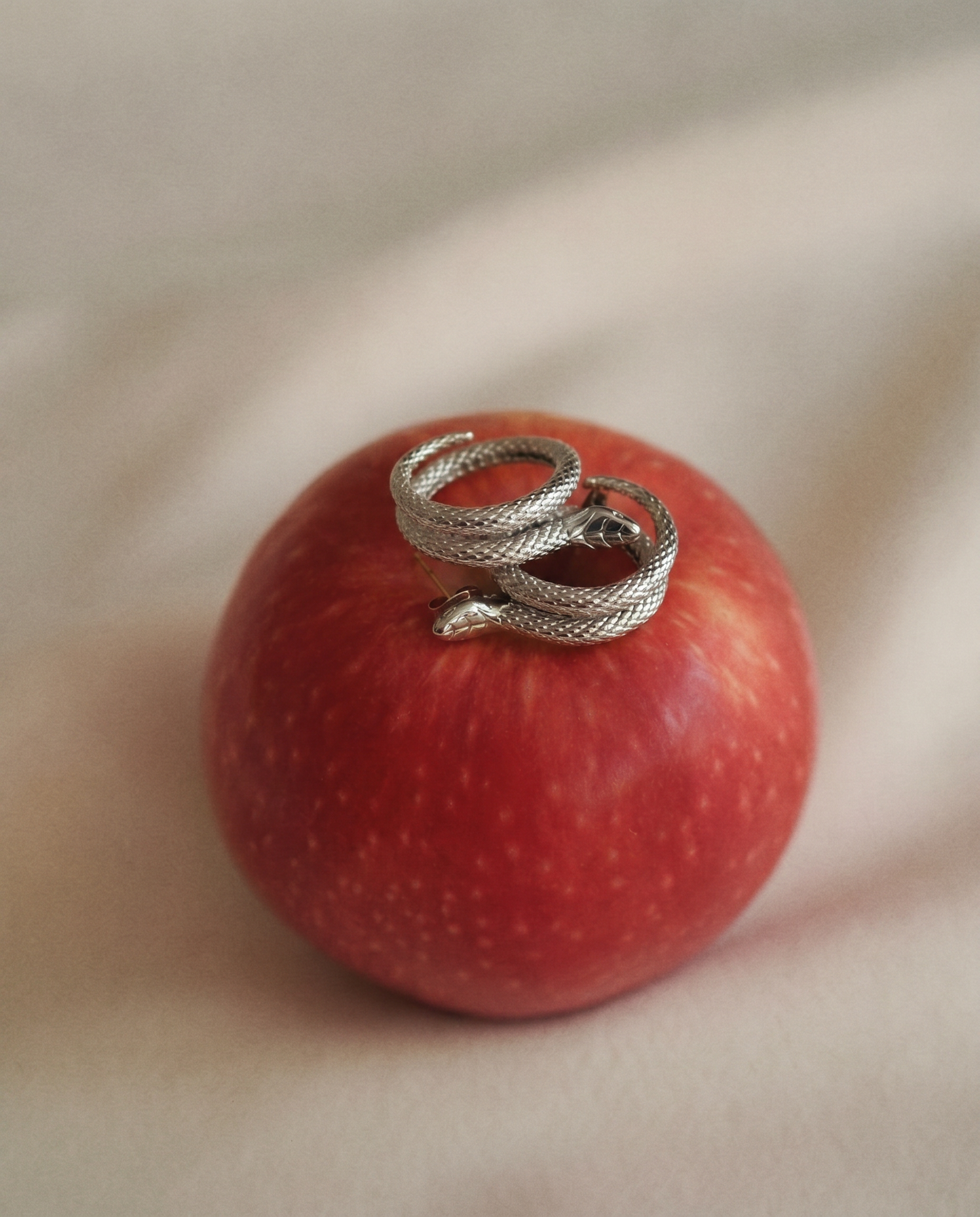 Elegant Snake Studs in Silver